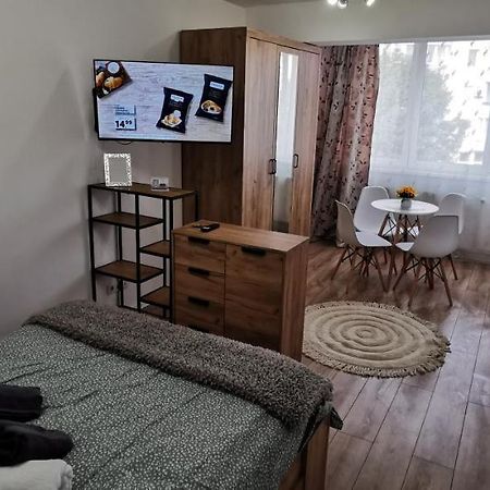 Ana Studio Apartment Târgu-Mureş Exterior foto